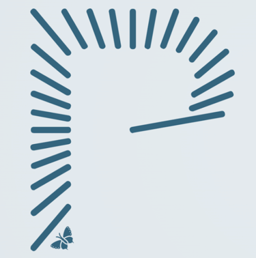 Logo du Pôle Santé
