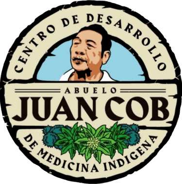 logo medicina tradicional maya