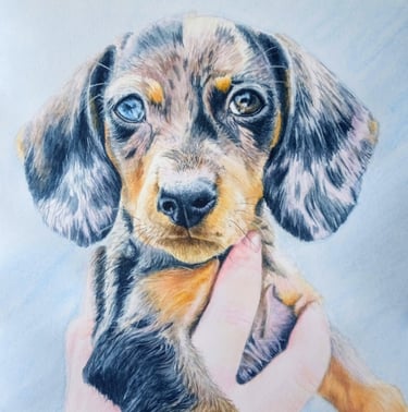 Dog Pet Portrait