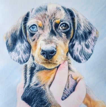 photo of a pet portrait