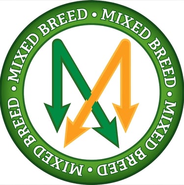 mixed breed sign green and yellow arrows
