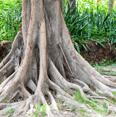 Grounding to Connect to Mother Earth