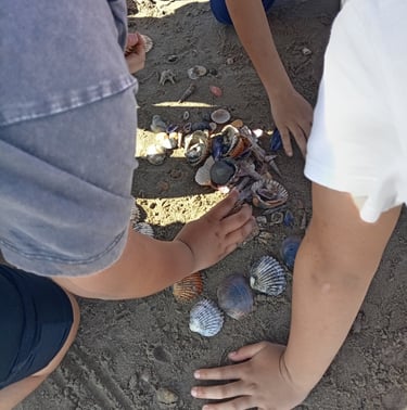Enfants observant les coquillages lors d'une sortie éducative en plein air