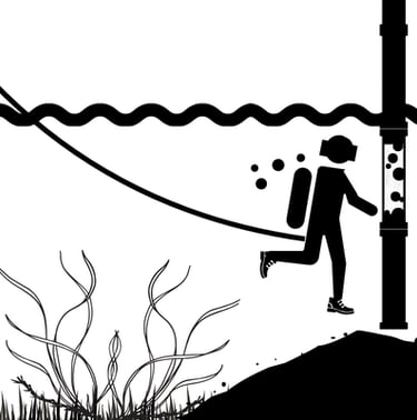 Teichentschlammung Unterwasserarbeiten