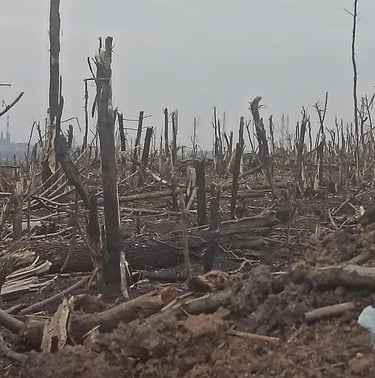 Guerre Ukraine 2022-