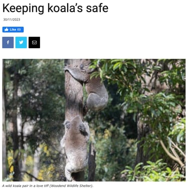 Keeping Koala's Safe