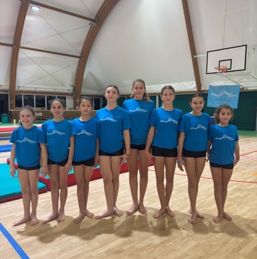 Artistica Jesolo Agonismo Junior 