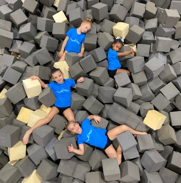 Artistica Jesolo Young 1