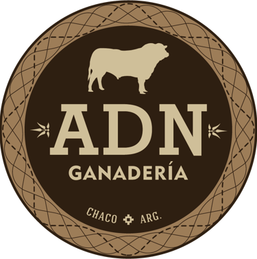 adn ganaderia vende e instala a campo bombas solares lorentz pesaje y trazabilidad digital de ganado