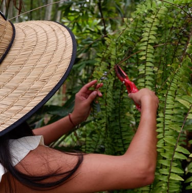 mantenimiento de jardines