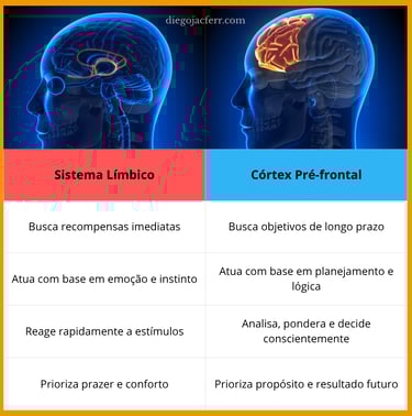 tabela sistema límbico e córtex pré frontal - razão e emoção