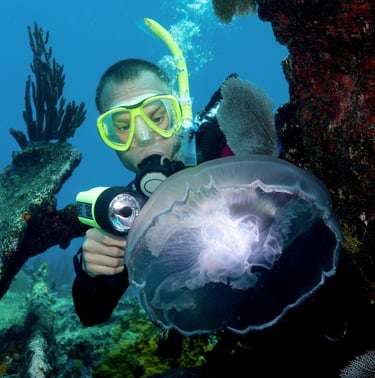 Scuba diving
