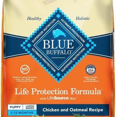 Blue Buffalo Life Protection Formula Large Breed Puppy Dog Food – Natural Dry Dog Food for Puppies