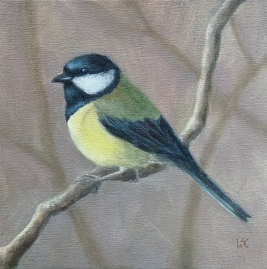 An original oil painting of a Great Tit sitting on a branch