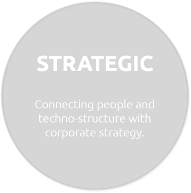 Connecting people and techno-structure with corporate strategy