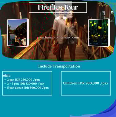 Fireflies