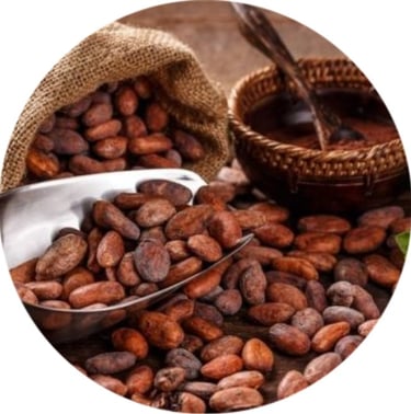 chocolate en puebla