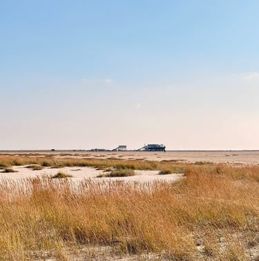 Landschaft am Böhler Strand, Pfahlbauten