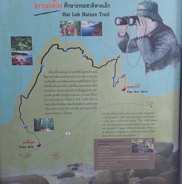 thailand khao lak lam ru national park nature trail