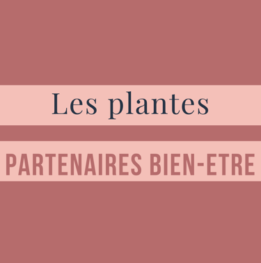 Conseils décoration