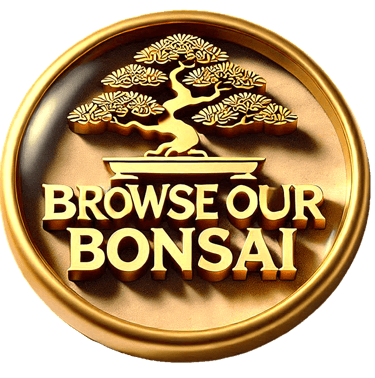 link to browse our bonsai