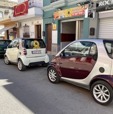 REPARTO A DOMICILIO DEL PALACIO DEL POLLO Y LA PIZZA