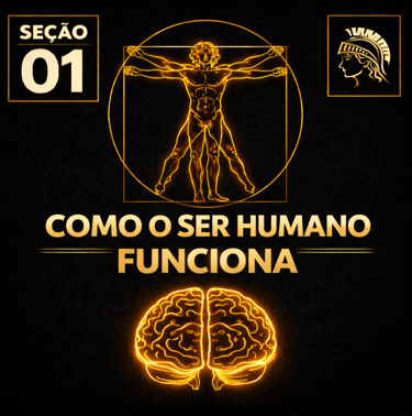 Capa da seção Como o Ser Humano Funciona da plataforma Atenéstia