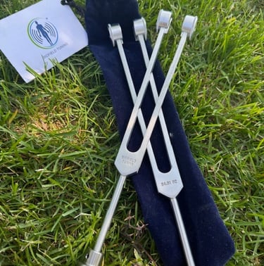 a pair of tuning forks