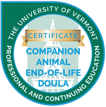 UVM companion animal end-of-life doula certificate Sólyom Fekete Eszter