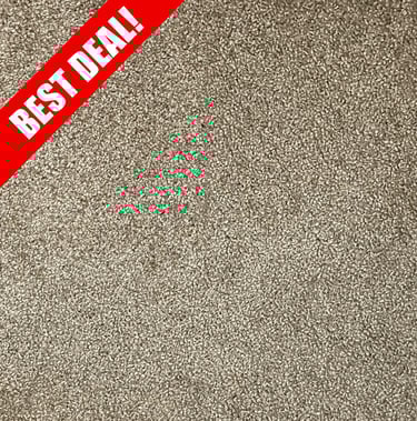 Serenity plush carpet. Soft and cozy flooring, best deal available in London Ontario