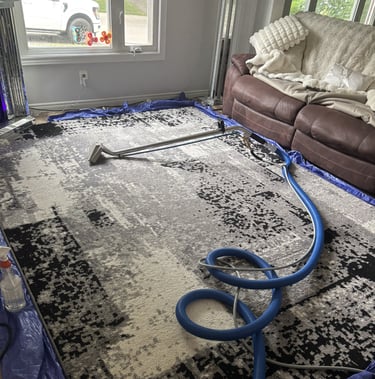 Area rug being deep cleaned with a professional steam extraction wand and hose in a living room setu