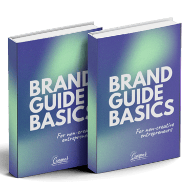 brand guide book
