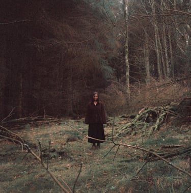 In My House Theo Bleak