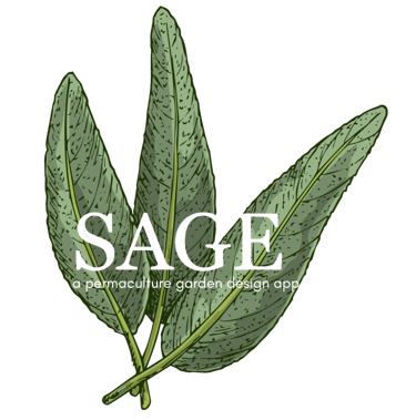 A logo for our garden planning app, Sage; hand drawn sage. 