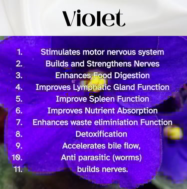 Colour Healing, Healing Light, Chromotherapy, Spechtochrome Violet