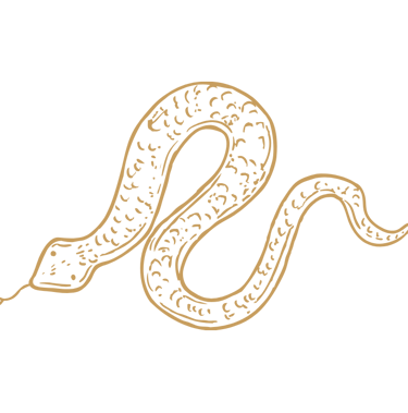 a golden snake drawing