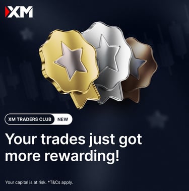 xm traders club