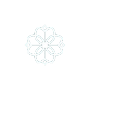a flower in a black background with a white flower