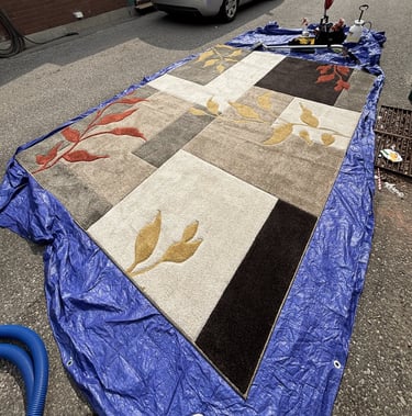 Coloured synthetic rug on tarp. Professional in-home cleaning keeps your floors safe.