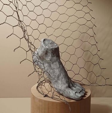 A sculpture of a single foot resting on toes, surrounded by wire netting, painted blue-greys