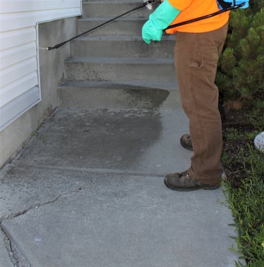 how to keep bugs out of house