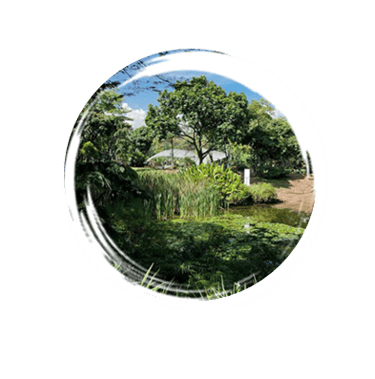 Jardin Botanico Medellin