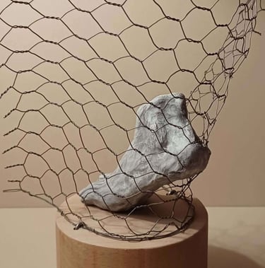 A sculpture of a single foot resting on toes, surrounded by wire netting, painted blue-greys