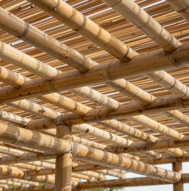 Engineered bamboo roofing rafters on a modern open-air pavilion, clean structural lines