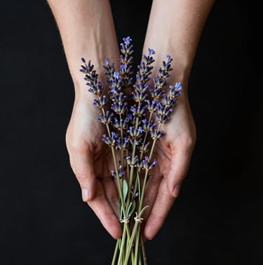 aliejus levandu levanda eterinis eteris oil difuzoriui garintuvui vonei naturalus levander