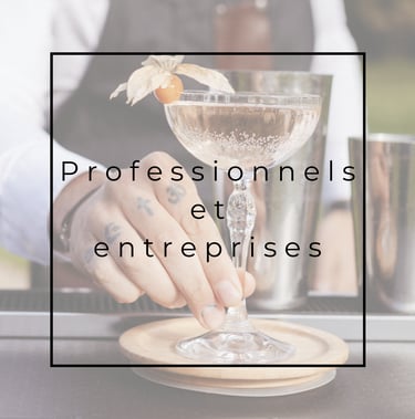 Accès Professionnels et entreprises