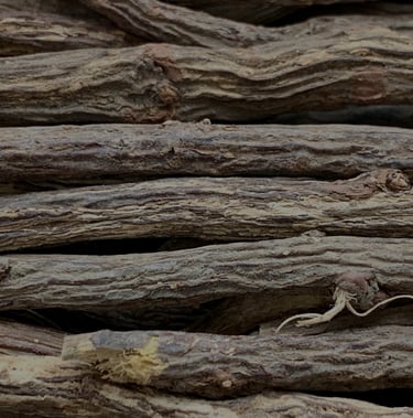 a pile of wood logs with a bird on it