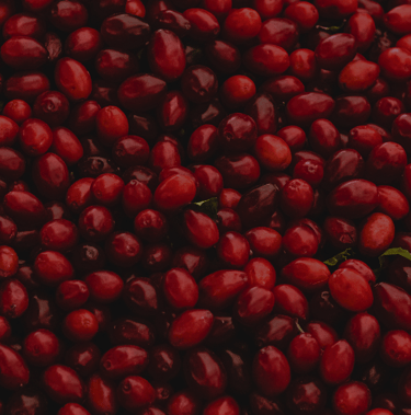 a bunch of cherries are shown in this picture