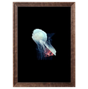 digital art, visual art, digital paintings, Joanna Wlaszyn