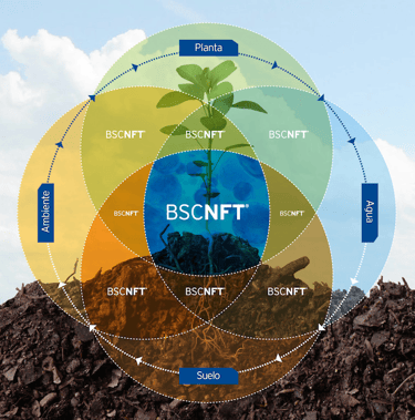 BSCNFT